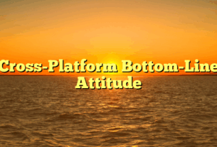 Cross-Platform Bottom-Line Attitude