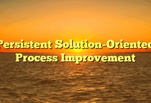 Persistent Solution-Oriented Process Improvement