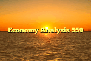 Economy Analysis 559