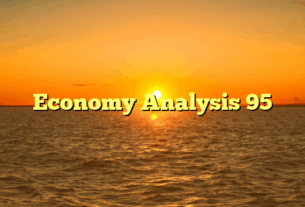 Economy Analysis 95