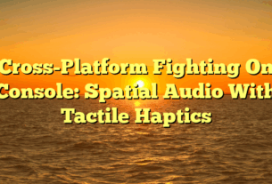Cross-Platform Fighting On Console: Spatial Audio With Tactile Haptics